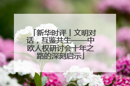 新华时评丨文明对话，互鉴共生——中欧人权研讨会十年之路的深刻启示