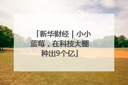 新华财经｜小小蓝莓，在科技大棚种出9个亿