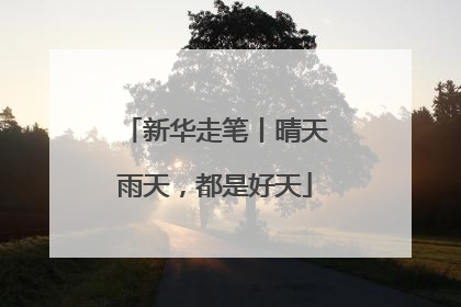 新华走笔丨晴天雨天，都是好天