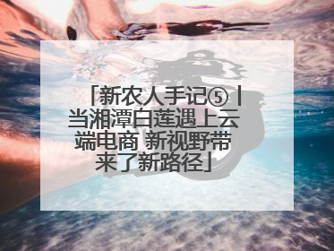 新农人手记⑤丨当湘潭白莲遇上云端电商 新视野带来了新路径