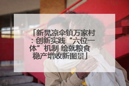 新晃凉伞镇万家村：创新实践“六位一体”机制 绘就粮食稳产增收新图景