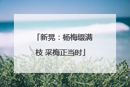 新晃：杨梅缀满枝 采梅正当时