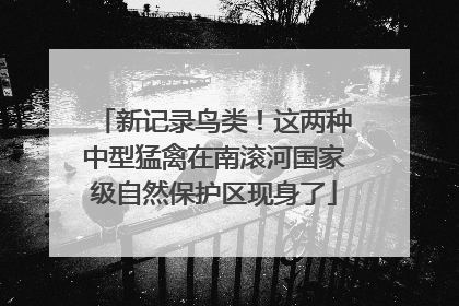 新记录鸟类！这两种中型猛禽在南滚河国家级自然保护区现身了