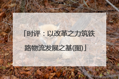 时评：以改革之力筑铁路物流发展之基(图)