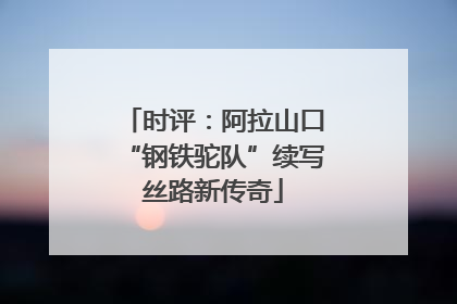 时评：阿拉山口“钢铁驼队”续写丝路新传奇
