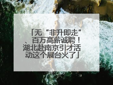 无“非升即走”、百万高薪诚聘！湖北赴南京引才活动这个展台火了