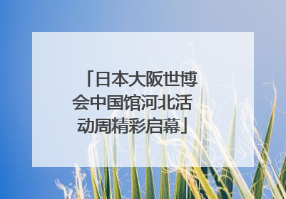 日本大阪世博会中国馆河北活动周精彩启幕