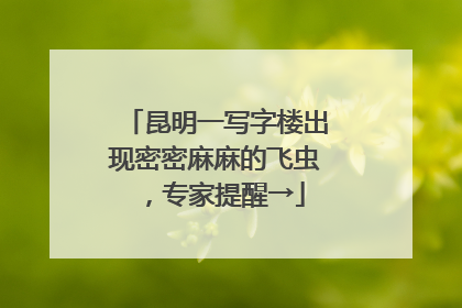 昆明一写字楼出现密密麻麻的飞虫，专家提醒→
