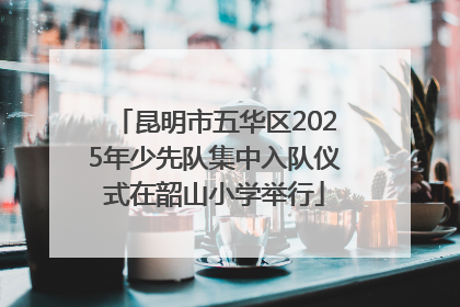 昆明市五华区2025年少先队集中入队仪式在韶山小学举行