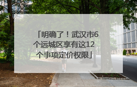 明确了！武汉市6个远城区享有这12个事项定价权限
