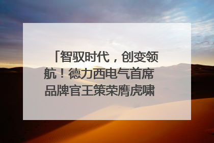 智驭时代，创变领航！德力西电气首席品牌官王策荣膺虎啸奖年度品牌人物