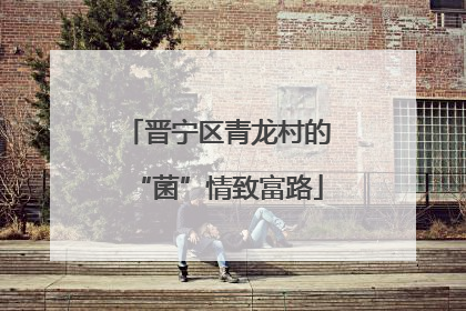 晋宁区青龙村的“菌”情致富路