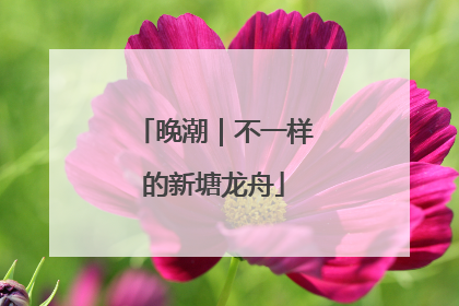 晚潮｜不一样的新塘龙舟