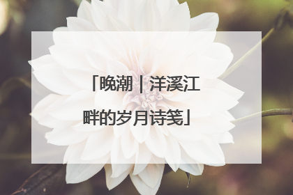 晚潮｜洋溪江畔的岁月诗笺