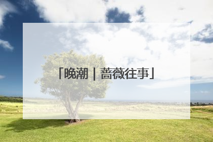 晚潮｜蔷薇往事