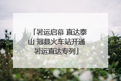 暑运启幕 直达泰山 冠县火车站开通暑运直达专列