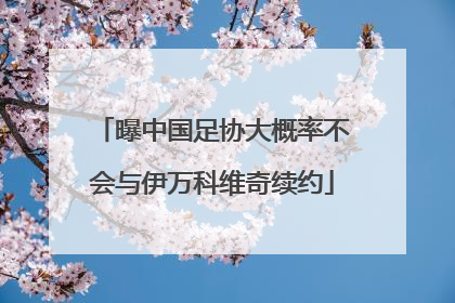 曝中国足协大概率不会与伊万科维奇续约