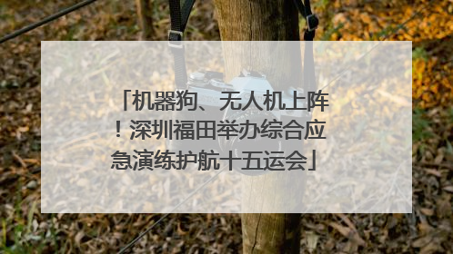 机器狗、无人机上阵！深圳福田举办综合应急演练护航十五运会