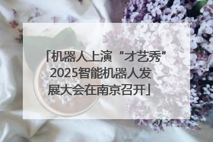 机器人上演“才艺秀” 2025智能机器人发展大会在南京召开
