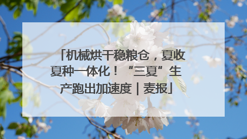 机械烘干稳粮仓，夏收夏种一体化！“三夏”生产跑出加速度｜麦报