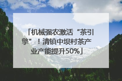 机械强农激活“茶引擎”！清镇中坝村茶产业产能提升50%