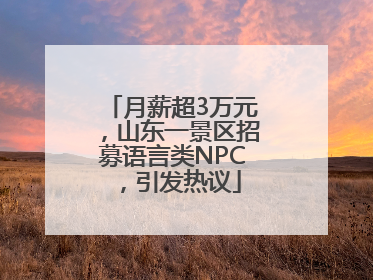 月薪超3万元，山东一景区招募语言类NPC，引发热议