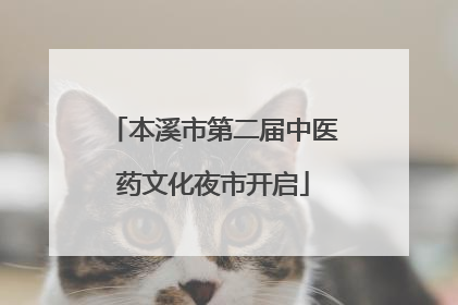 本溪市第二届中医药文化夜市开启