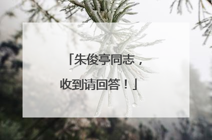 朱俊亭同志，收到请回答！