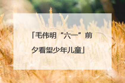 毛伟明“六一”前夕看望少年儿童