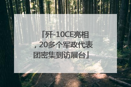 歼-10CE亮相，20多个军政代表团密集到访展台