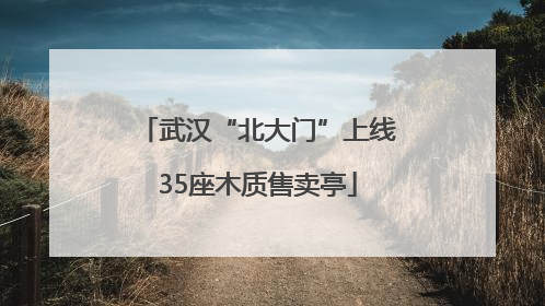 武汉“北大门”上线35座木质售卖亭