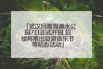 武汉玛雅海滩水公园7日正式开园 后续将推出夏浪音乐节等精彩活动