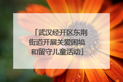 武汉经开区东荆街道开展关爱困境和留守儿童活动