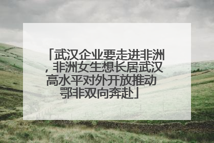 武汉企业要走进非洲，非洲女生想长居武汉 高水平对外开放推动鄂非双向奔赴