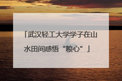 武汉轻工大学学子在山水田间感悟“粮心”