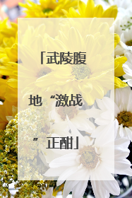 武陵腹地“激战”正酣