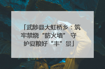 武陟县大虹桥乡：筑牢禁烧“防火墙” 守护夏粮好“丰”景
