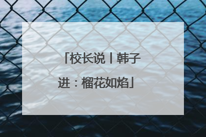 校长说丨韩子进：榴花如焰