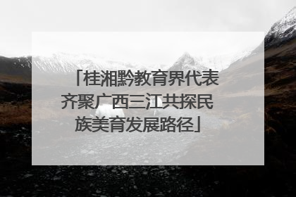 桂湘黔教育界代表齐聚广西三江共探民族美育发展路径