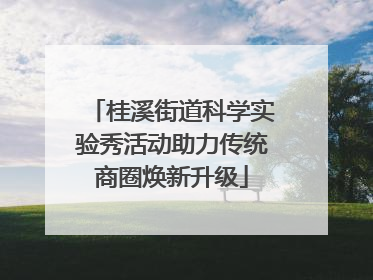 桂溪街道科学实验秀活动助力传统商圈焕新升级