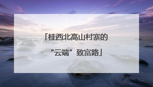 桂西北高山村寨的“云端”致富路