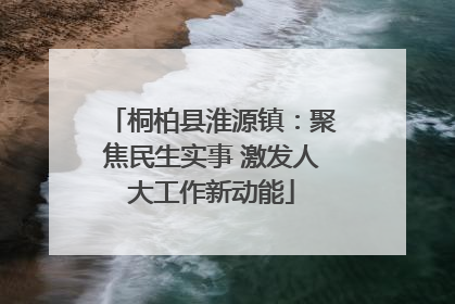 桐柏县淮源镇：聚焦民生实事 激发人大工作新动能