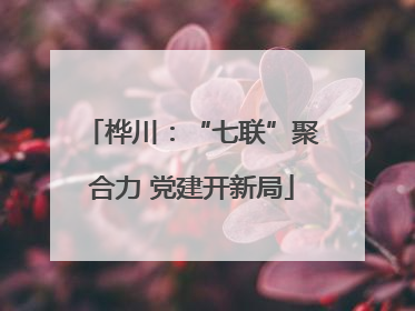 桦川：“七联”聚合力 党建开新局