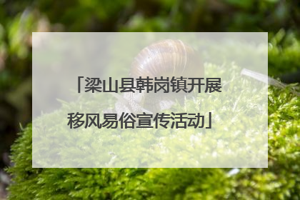 梁山县韩岗镇开展移风易俗宣传活动