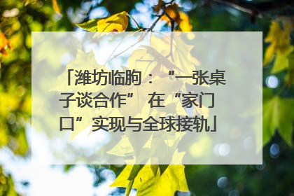 潍坊临朐：“一张桌子谈合作” 在“家门口”实现与全球接轨