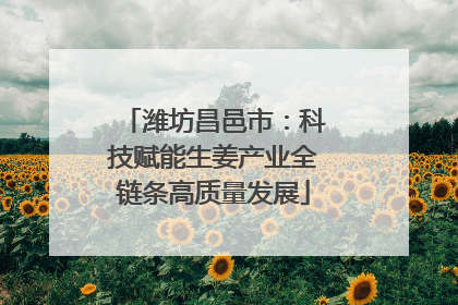 潍坊昌邑市：科技赋能生姜产业全链条高质量发展
