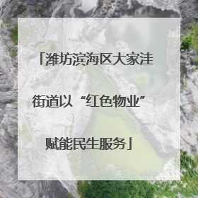 潍坊滨海区大家洼街道以“红色物业”赋能民生服务