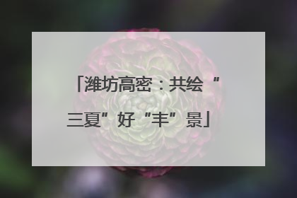 潍坊高密：共绘“三夏”好“丰”景