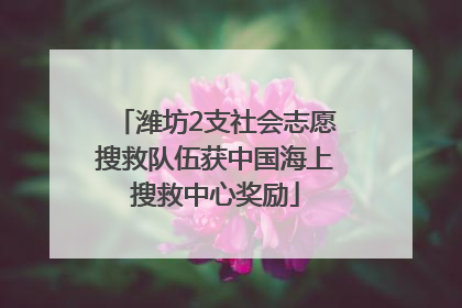潍坊2支社会志愿搜救队伍获中国海上搜救中心奖励