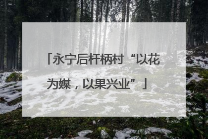 永宁后杆柄村“以花为媒，以果兴业”